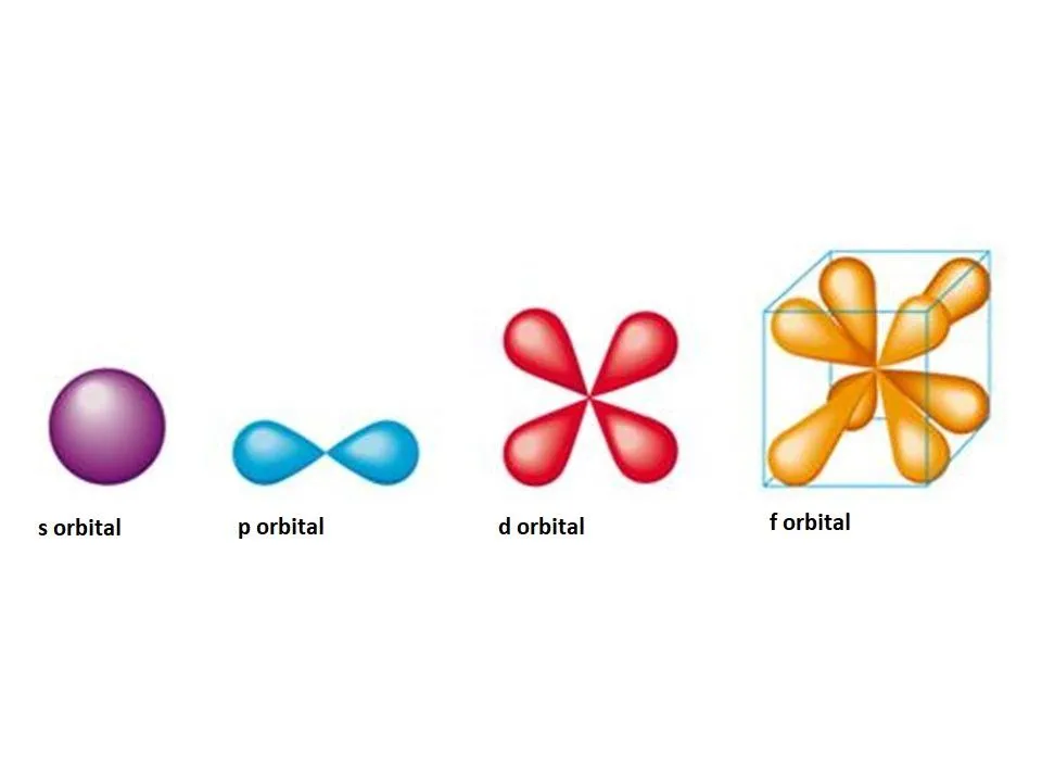 Shapes of s, p, d and f orbitals